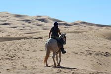 Morocco-Morocco-Sand Dunes Horse & Camel Ride